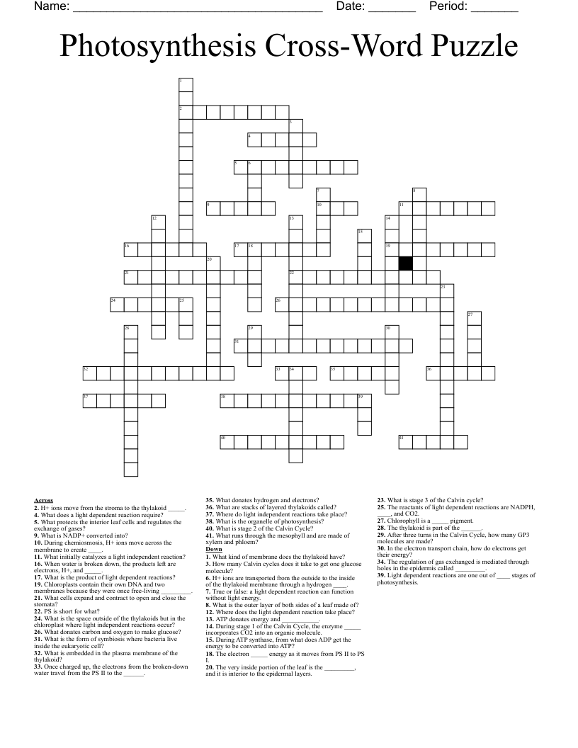 Photosynthesis Cross-Word Puzzle Crossword