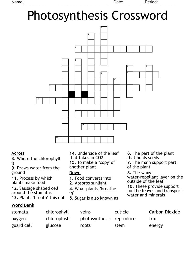 Photosynthesis Crossword