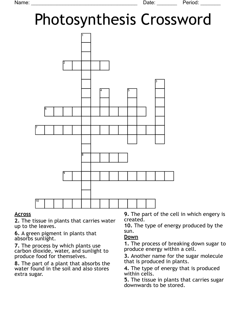 Photosynthesis Crossword