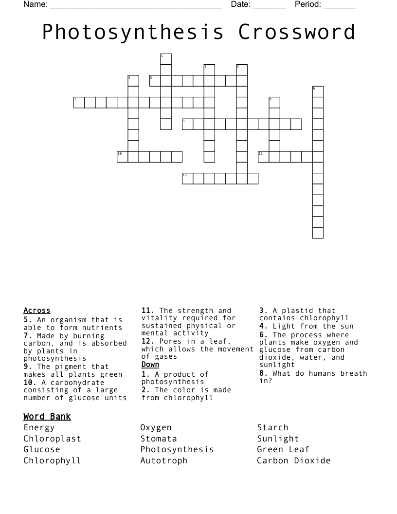Photosynthesis Crossword