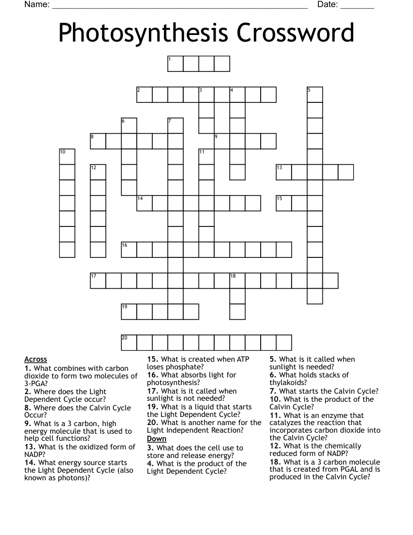 Photosynthesis Crossword