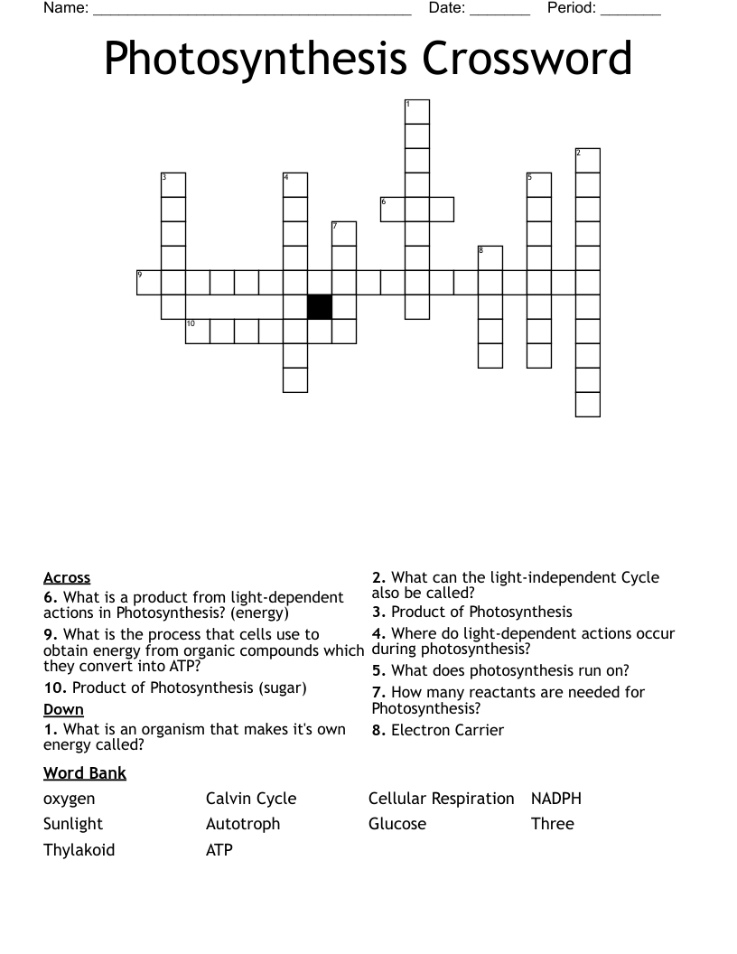 Photosynthesis Crossword