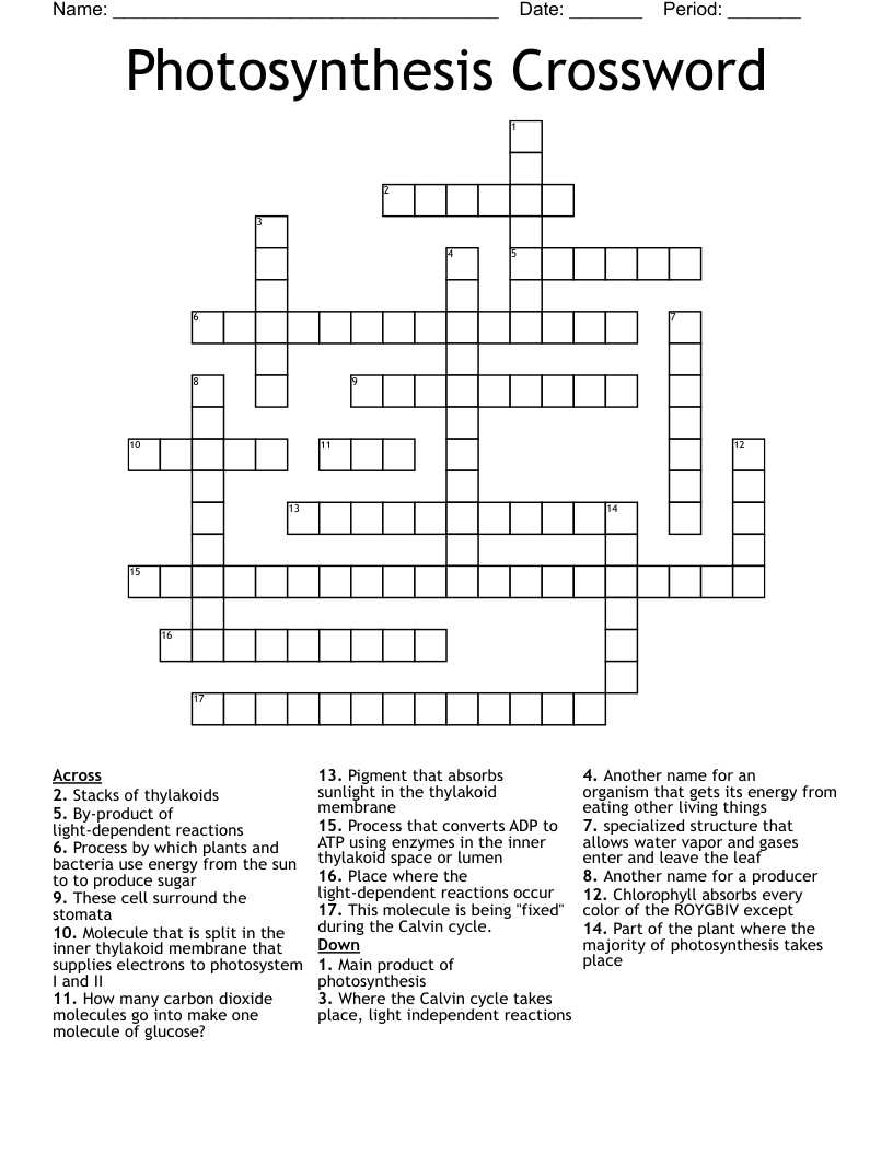 Photosynthesis Crossword