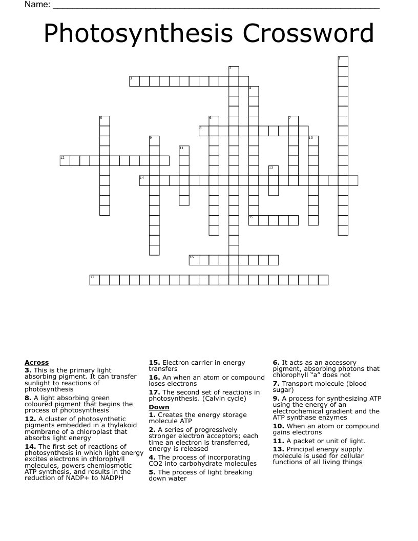 Photosynthesis Crossword