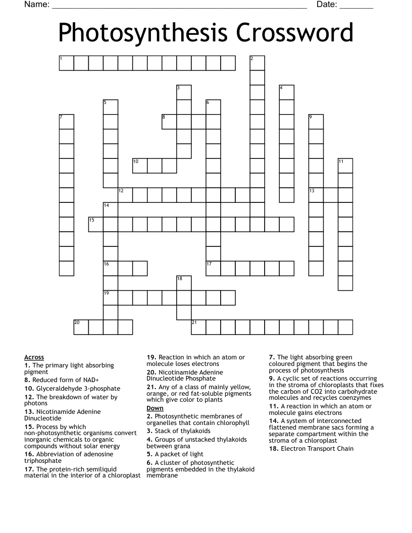 Photosynthesis Crossword