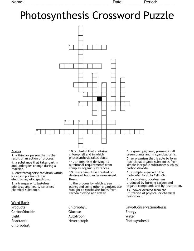 Photosynthesis Crossword Puzzle