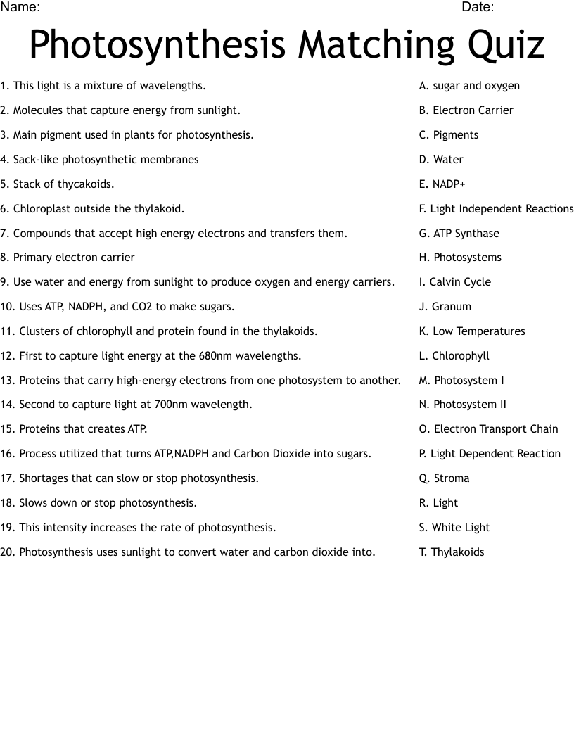 Photosynthesis Matching Quiz Worksheet
