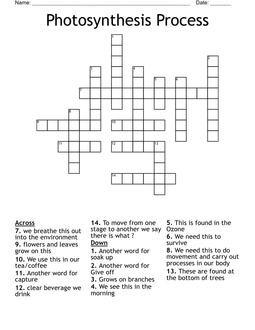 Photosynthesis Process Crossword