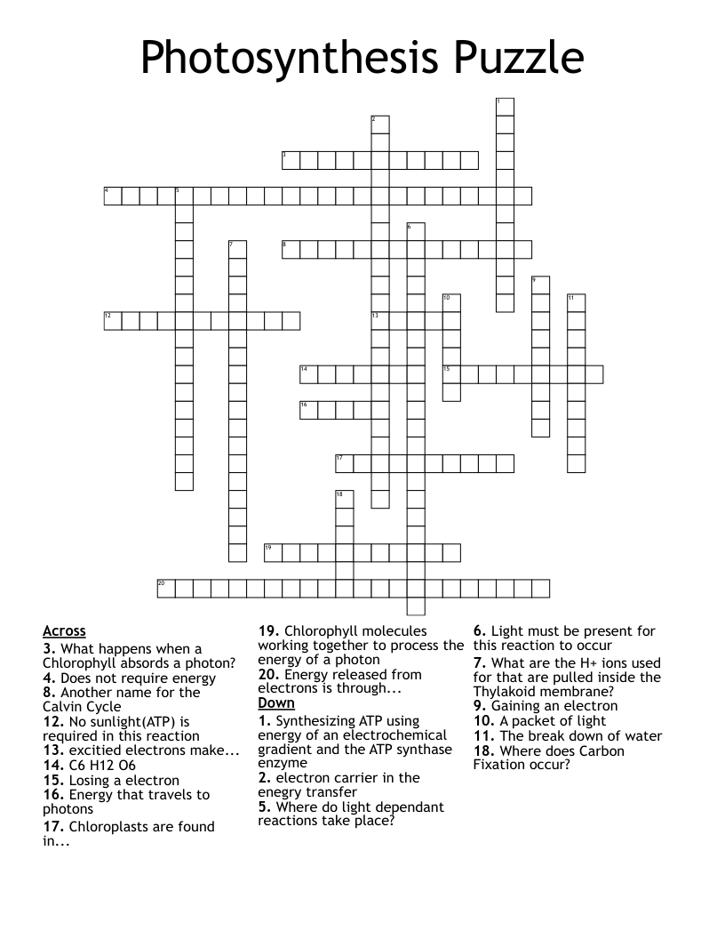 Photosynthesis Puzzle Crossword