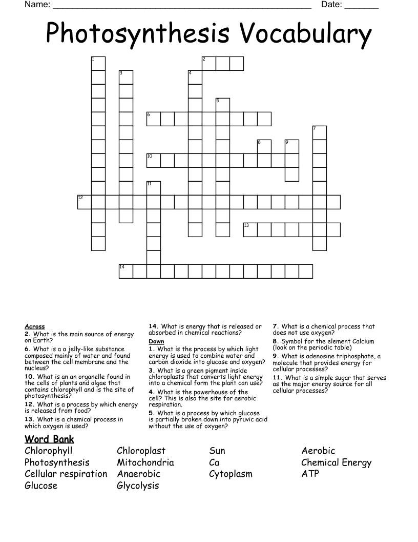 Photosynthesis Vocabulary Crossword