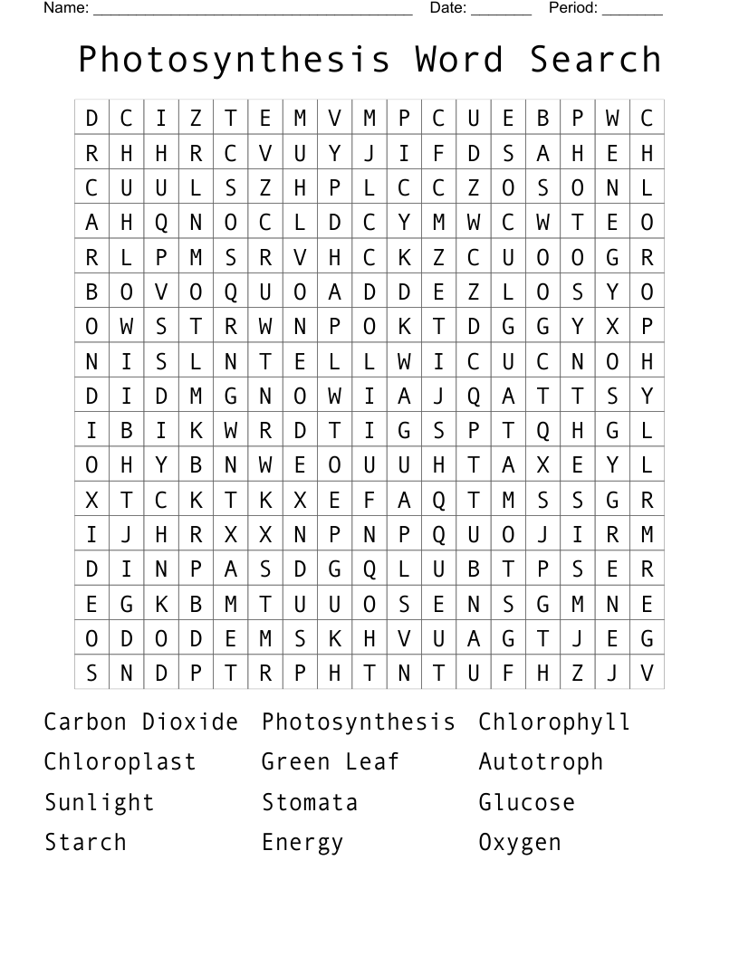 Photosynthesis Word Search