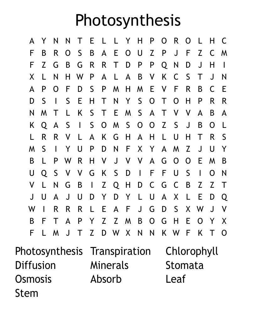 Photosynthesis  Word Search