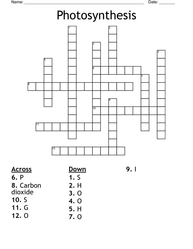 Photosynthesis  Crossword