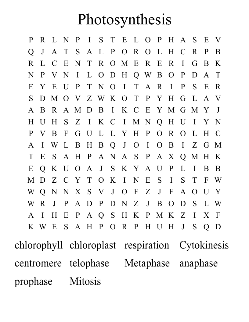 Photosynthesis  Word Search