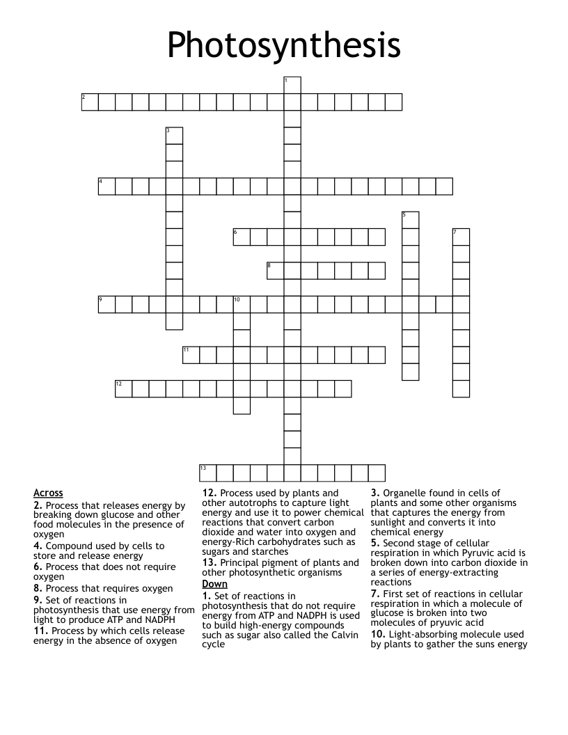 Photosynthesis  Crossword