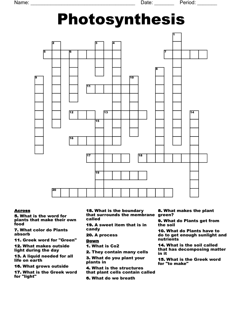 Photosynthesis  Crossword