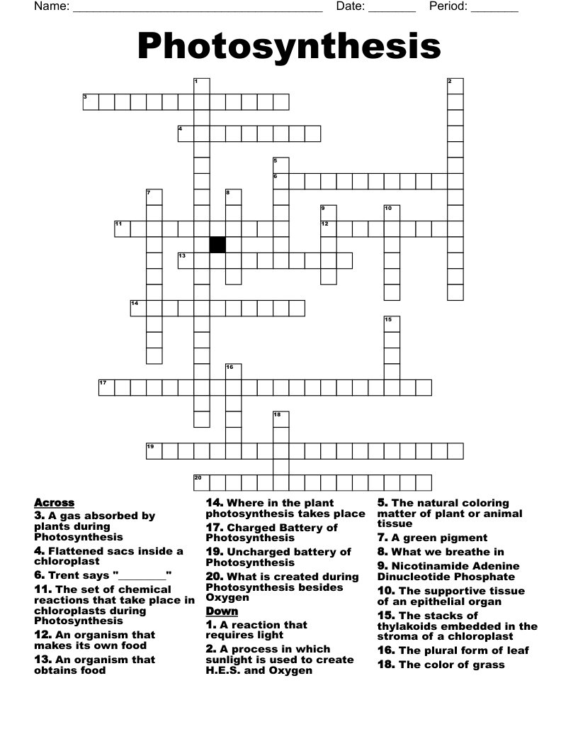 Photosynthesis  Crossword