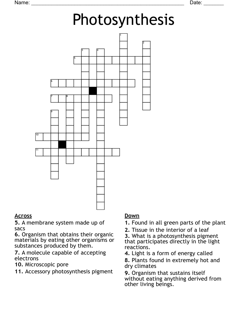 Photosynthesis  Crossword