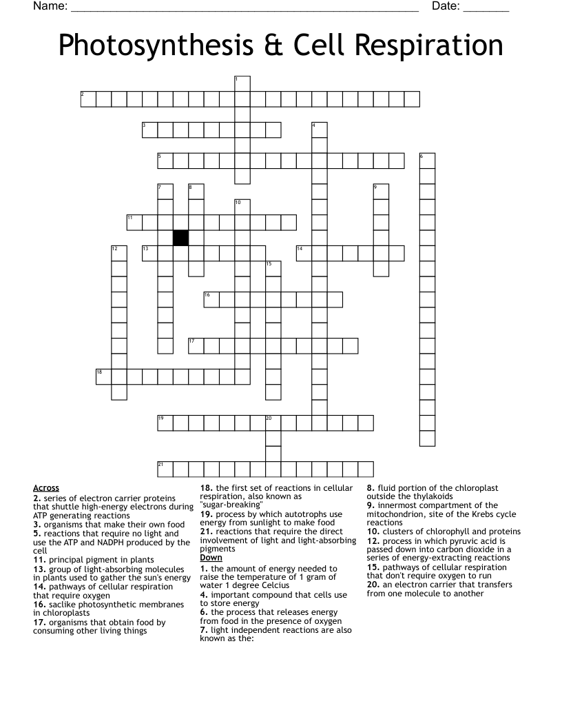 Photosynthesis & Cell Respiration Crossword
