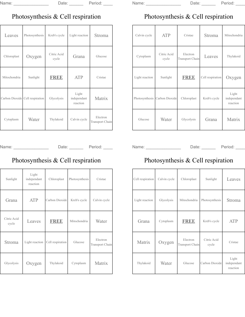 Photosynthesis & Cell respiration Bingo Cards