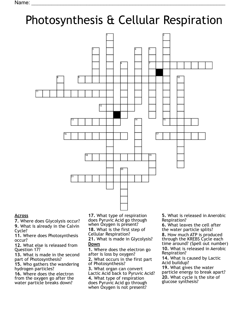 Photosynthesis & Cellular Respiration Crossword
