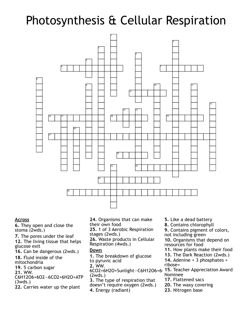 Photosynthesis & Cellular Respiration Crossword