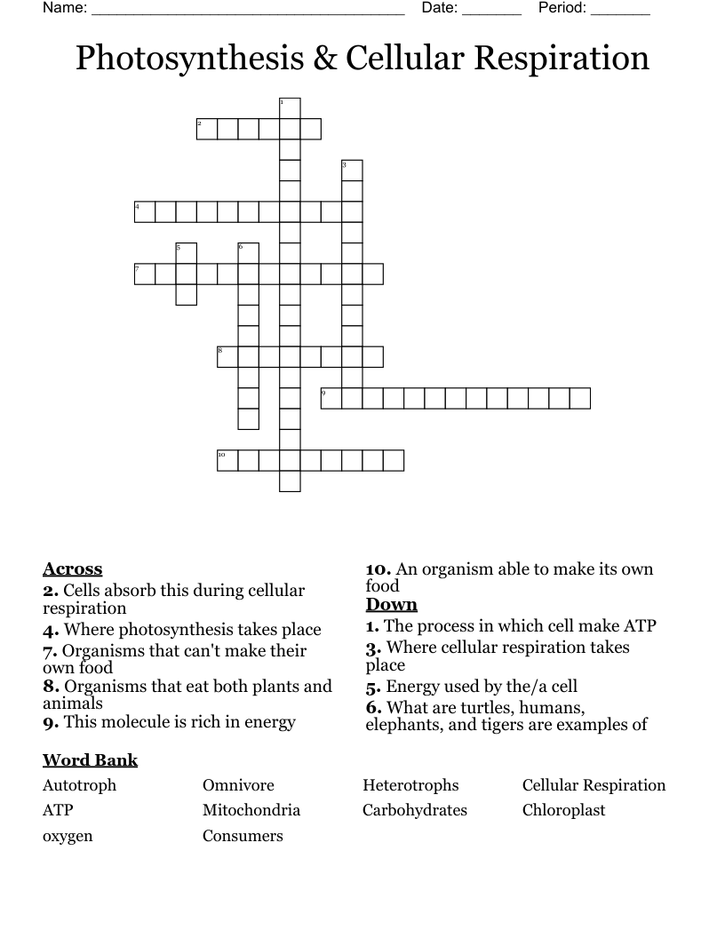 Photosynthesis & Cellular Respiration Crossword