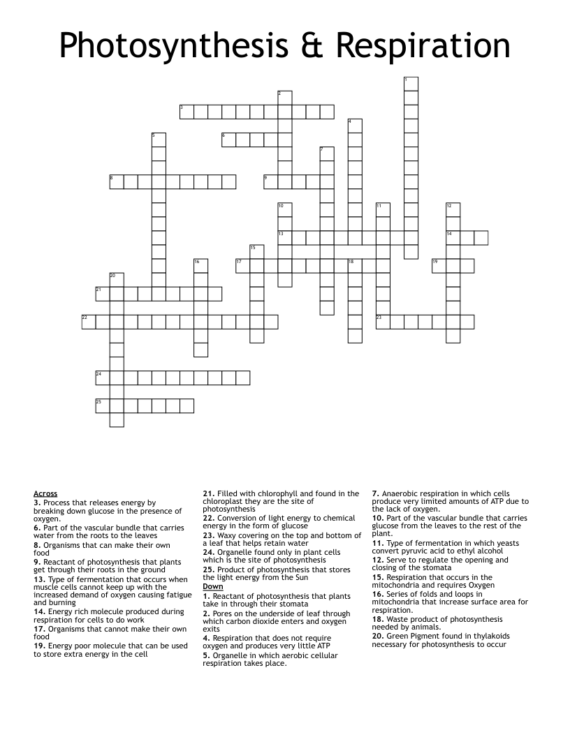 Photosynthesis & Respiration Crossword