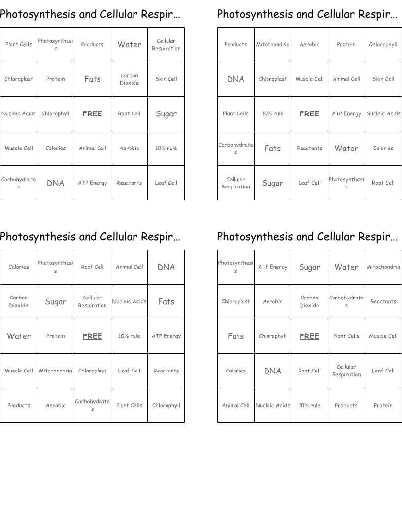 Photosynthesis and Cellular Respiration Bingo Cards