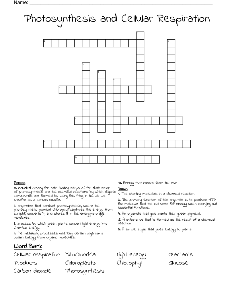 Photosynthesis and Cellular Respiration Crossword