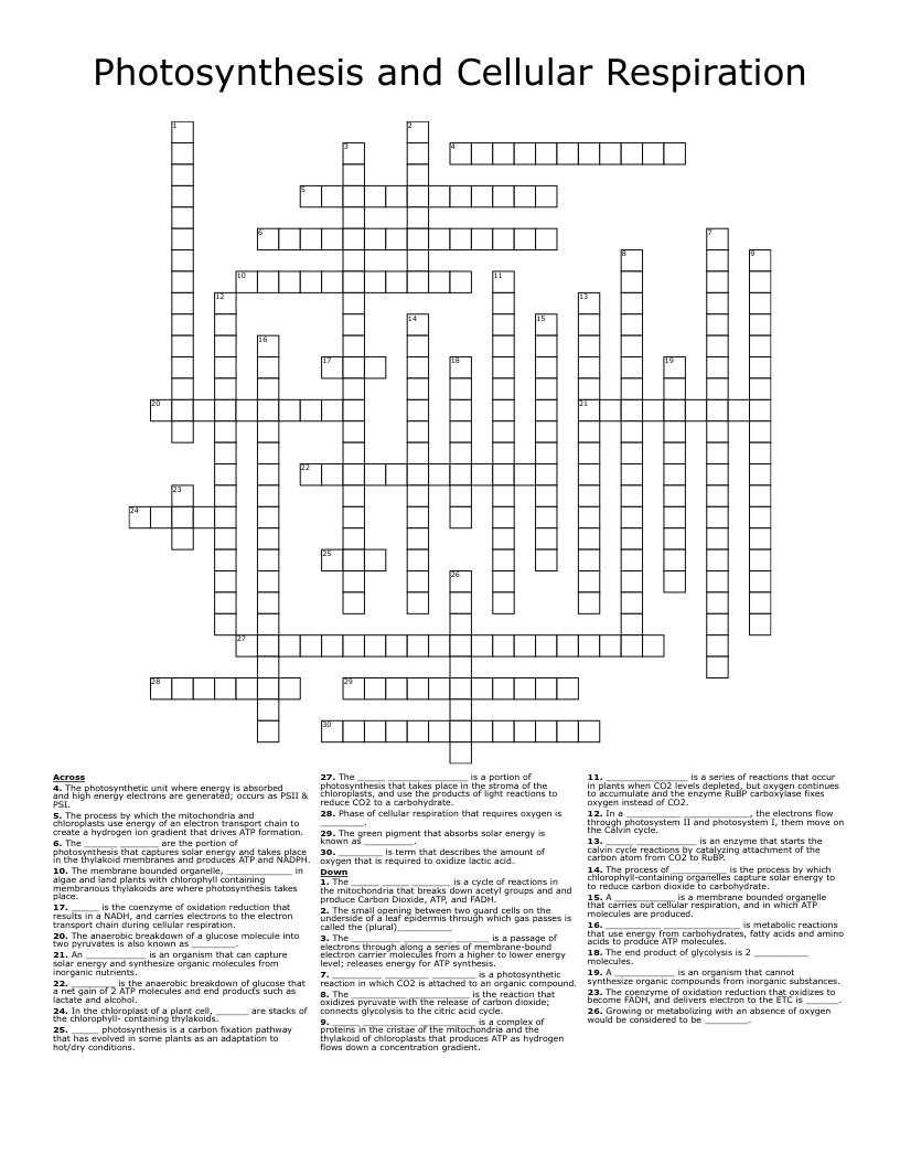 Photosynthesis and Cellular Respiration Crossword