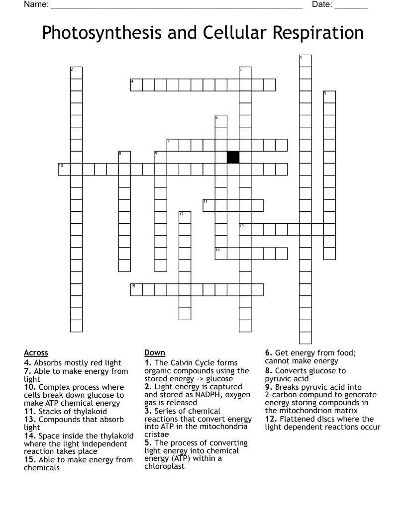 Photosynthesis and Cellular Respiration Crossword