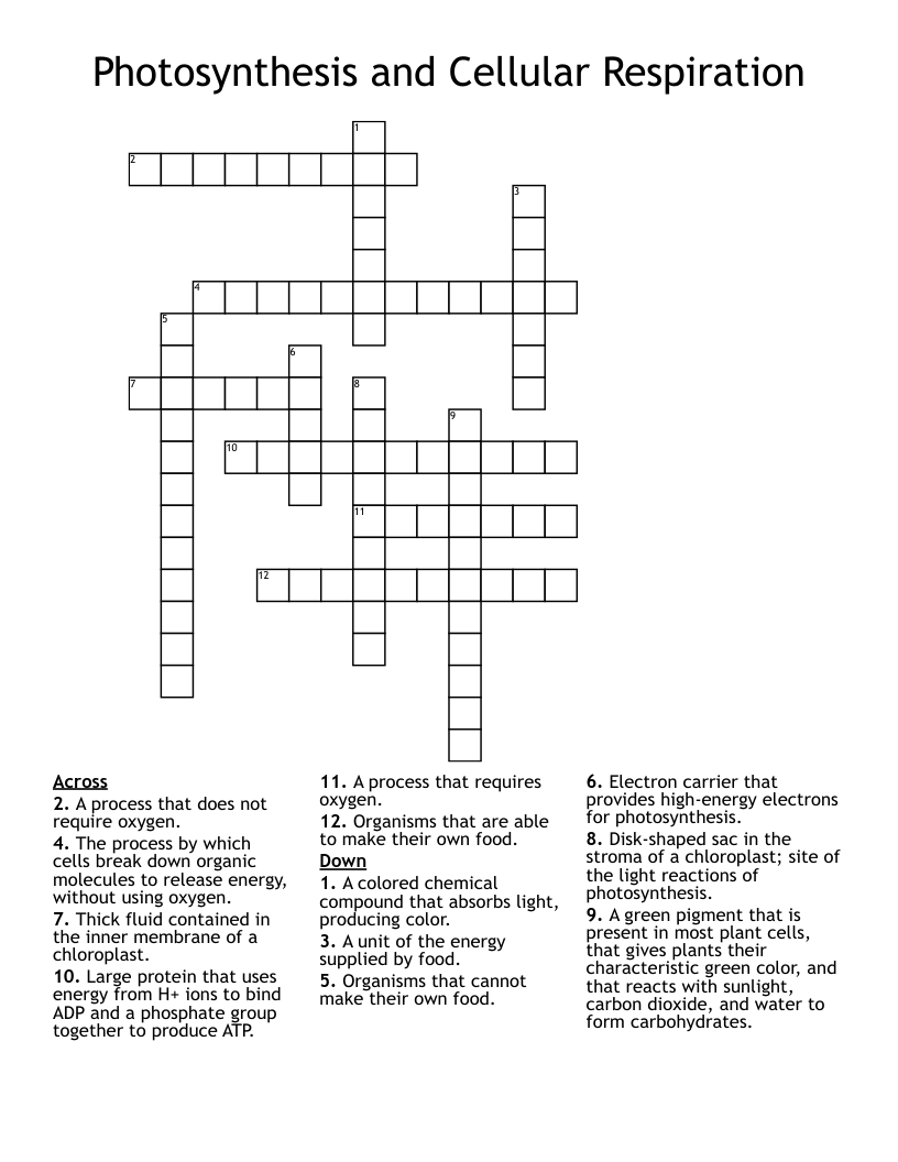 Photosynthesis and Cellular Respiration Crossword