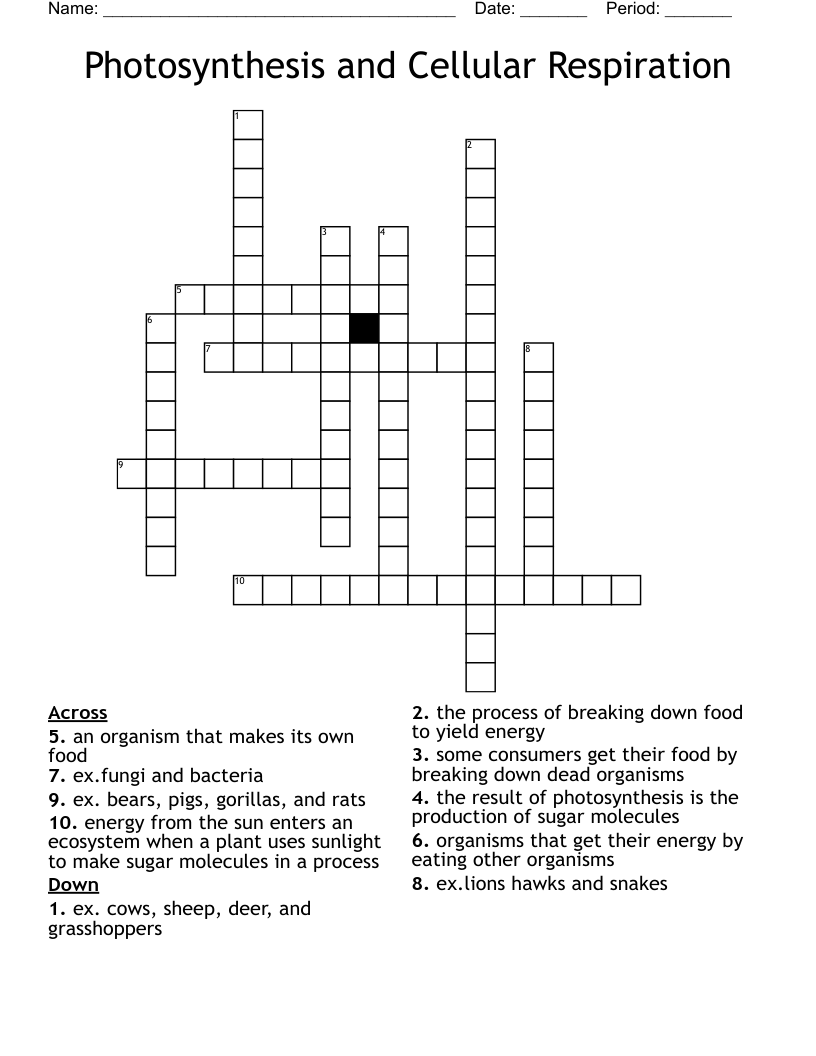 Photosynthesis and Cellular Respiration Crossword