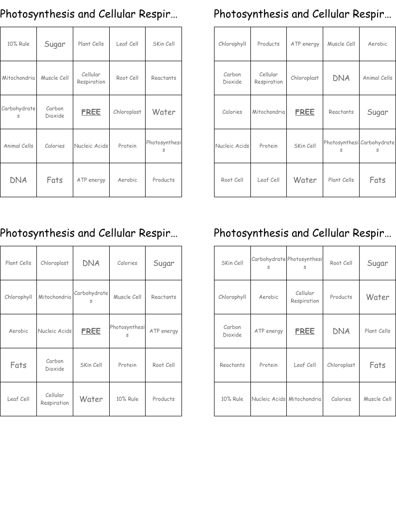 Photosynthesis and Cellular Respiration Bingo