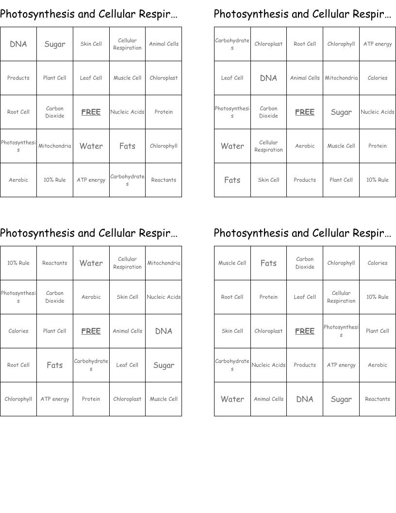 Photosynthesis and Cellular Respiration Bingo