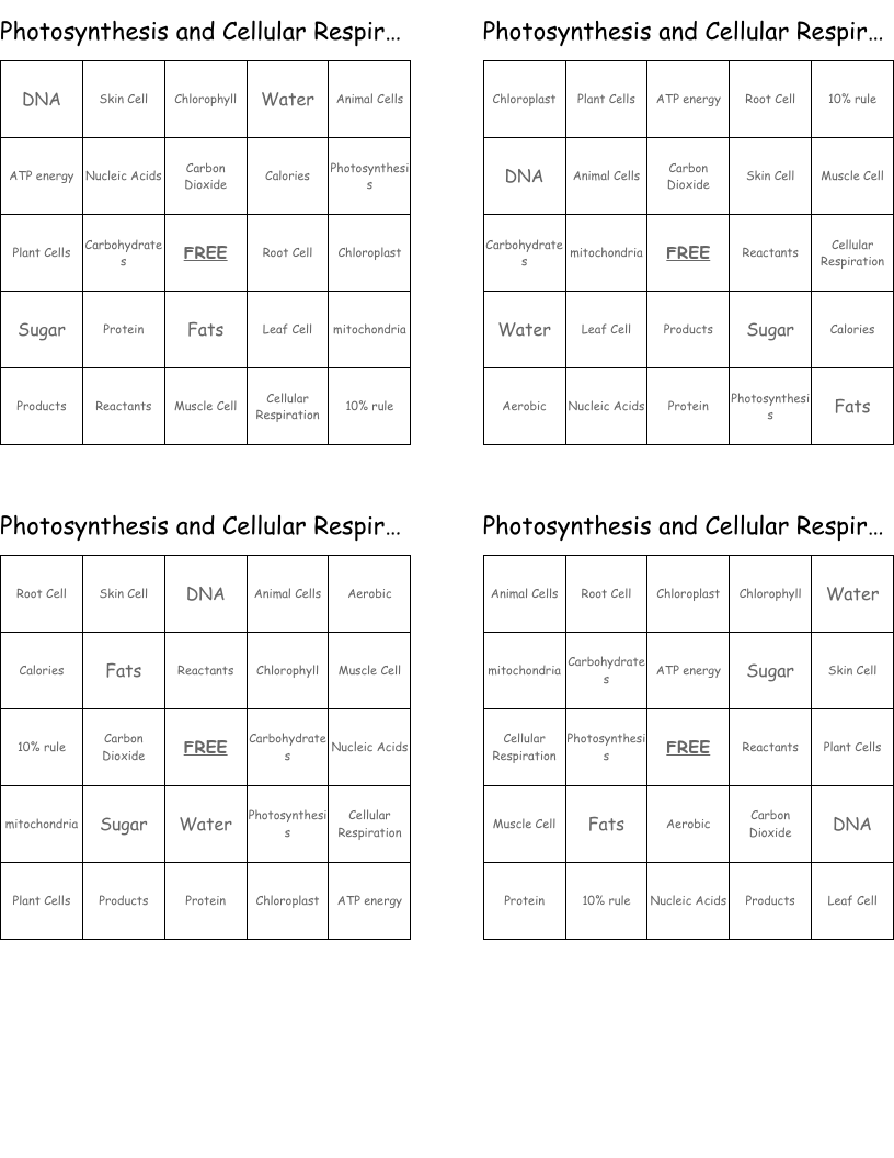 Photosynthesis and Cellular Respiration Bingo