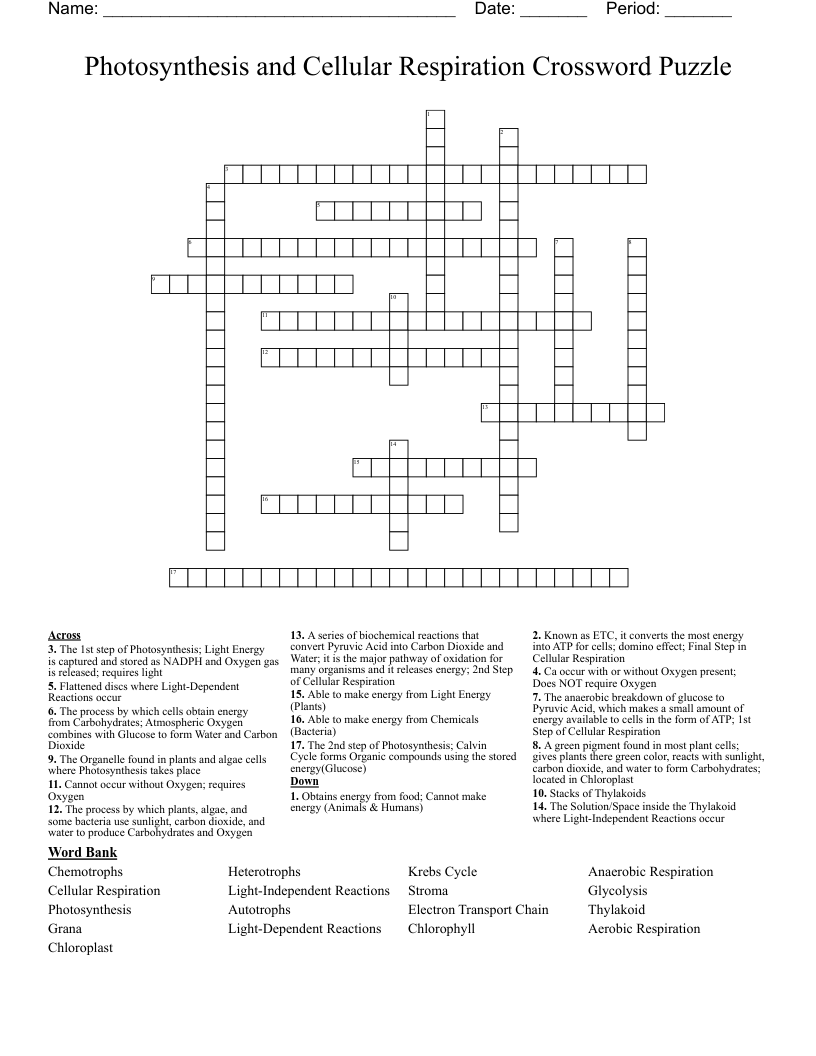 Photosynthesis and Cellular Respiration Crossword Puzzle