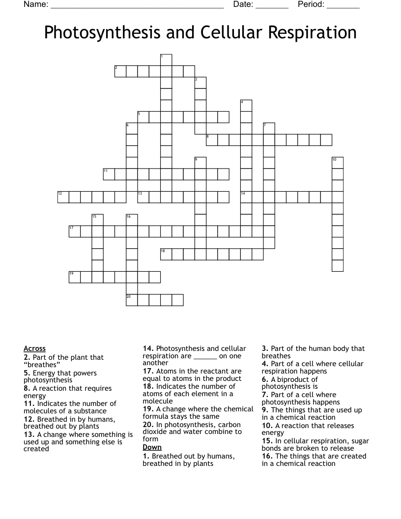 Photosynthesis and Cellular Respiration  Crossword