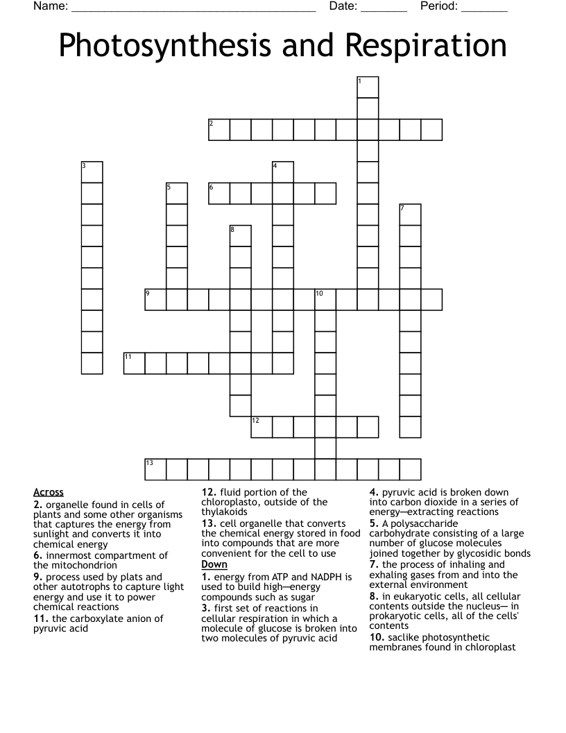 Photosynthesis and Respiration Crossword