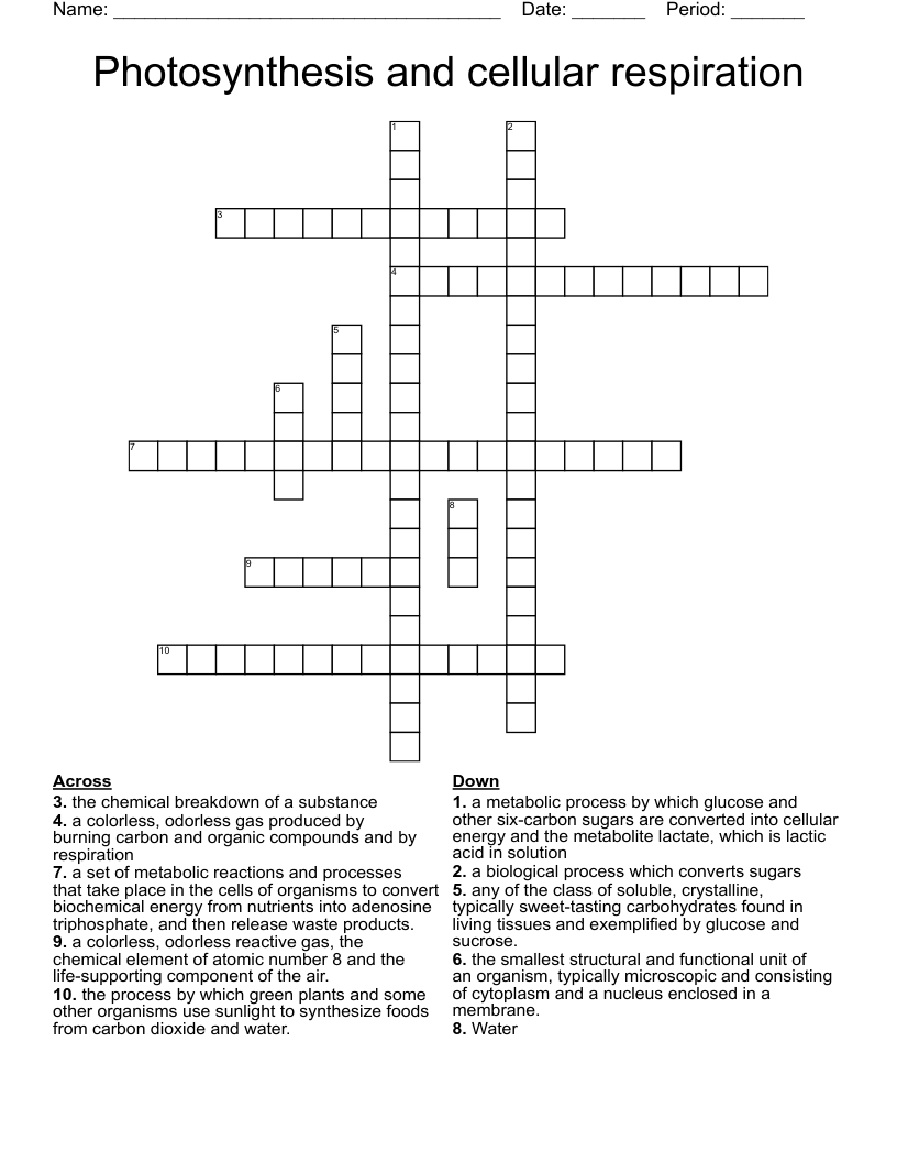 Photosynthesis and cellular respiration Crossword