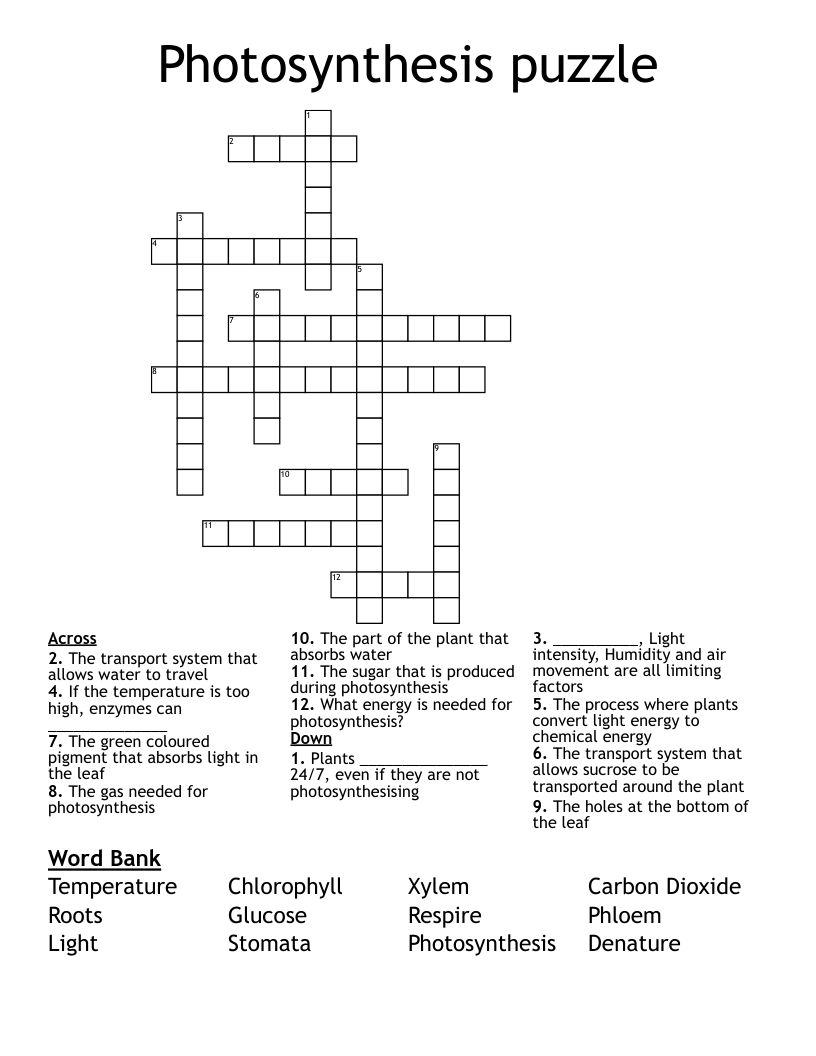 Photosynthesis puzzle Crossword