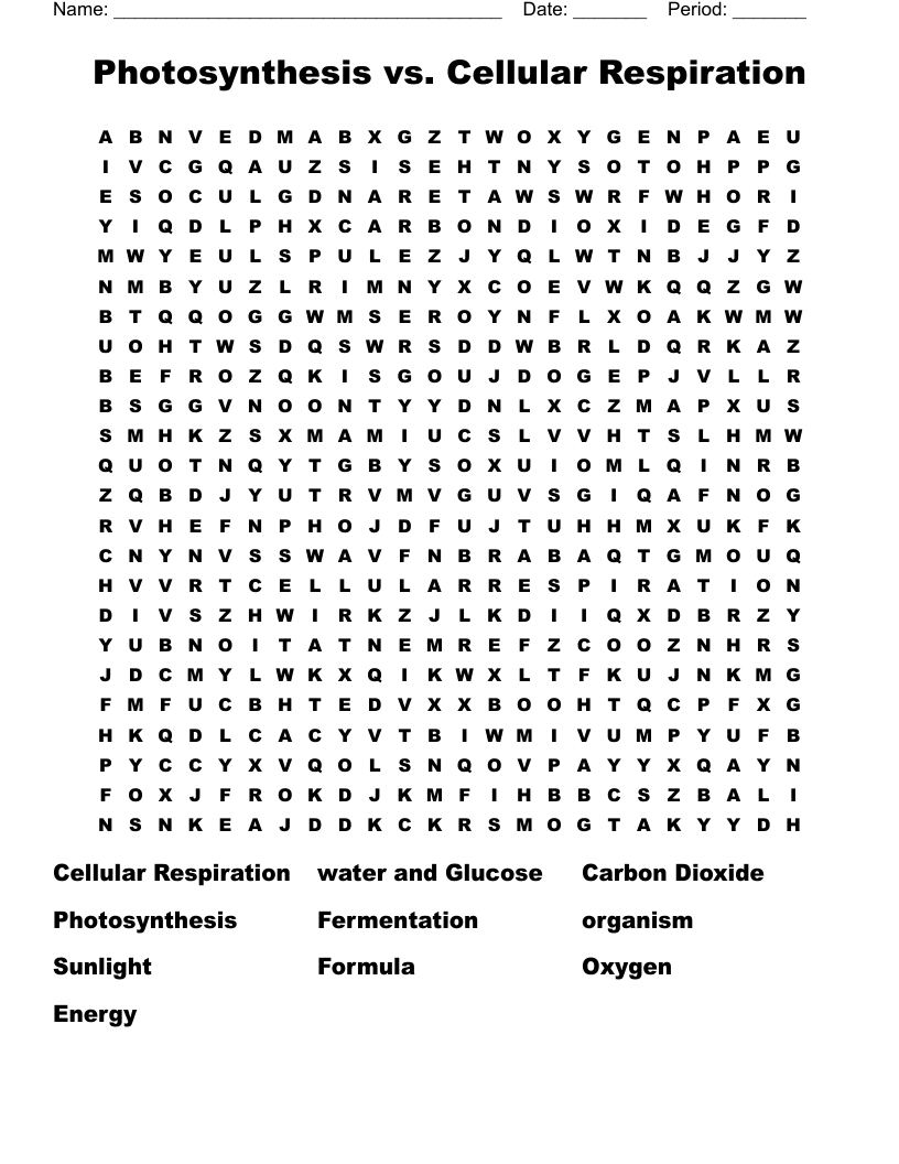 Photosynthesis vs. Cellular Respiration Word Search