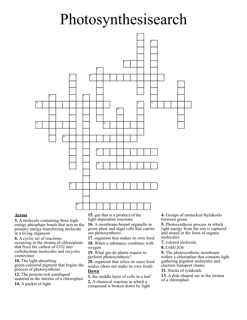 Photosynthesisearch Crossword