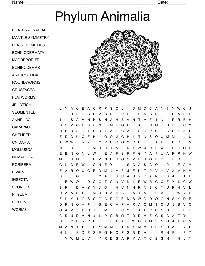 Phylum Animalia Word Search