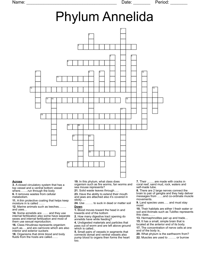 Phylum Annelida Crossword