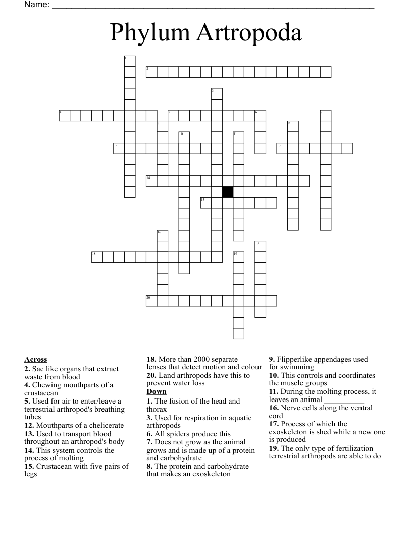 Phylum Artropoda Crossword
