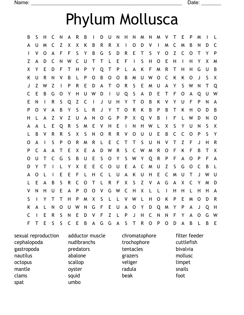 Phylum Mollusca Word Search
