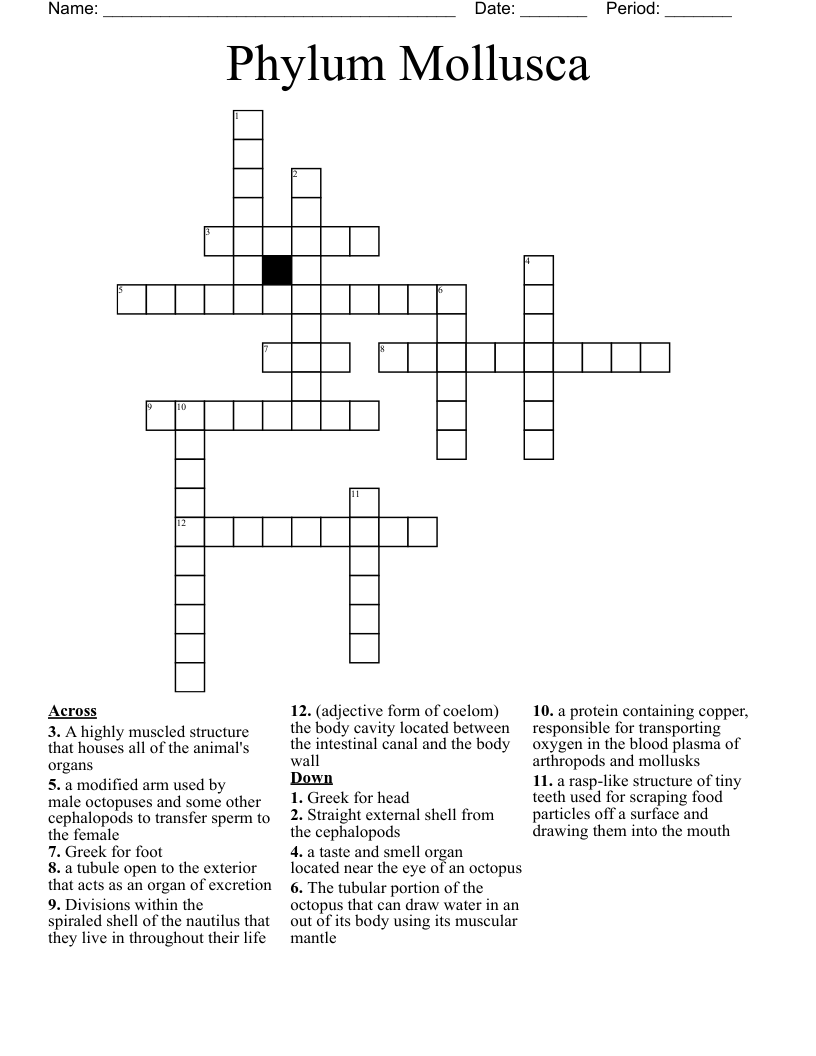 Phylum Mollusca Crossword