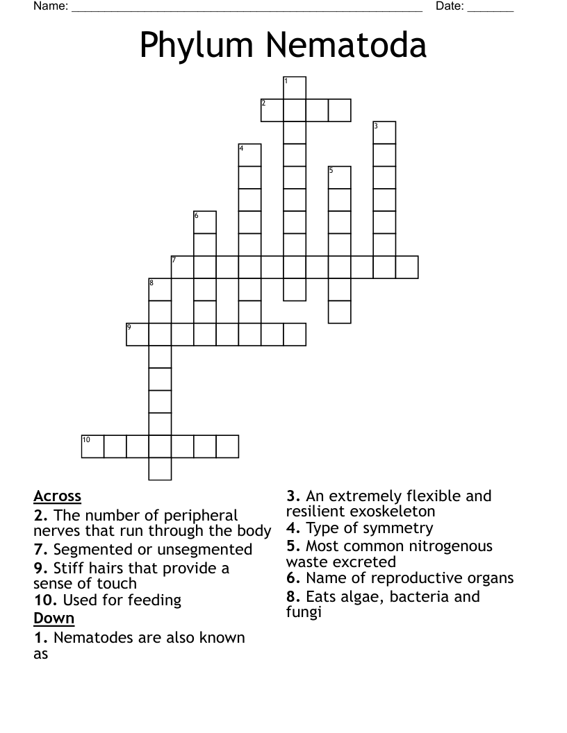 Phylum Nematoda Crossword